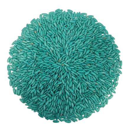 MUSKMELON PEACOCK GREEN